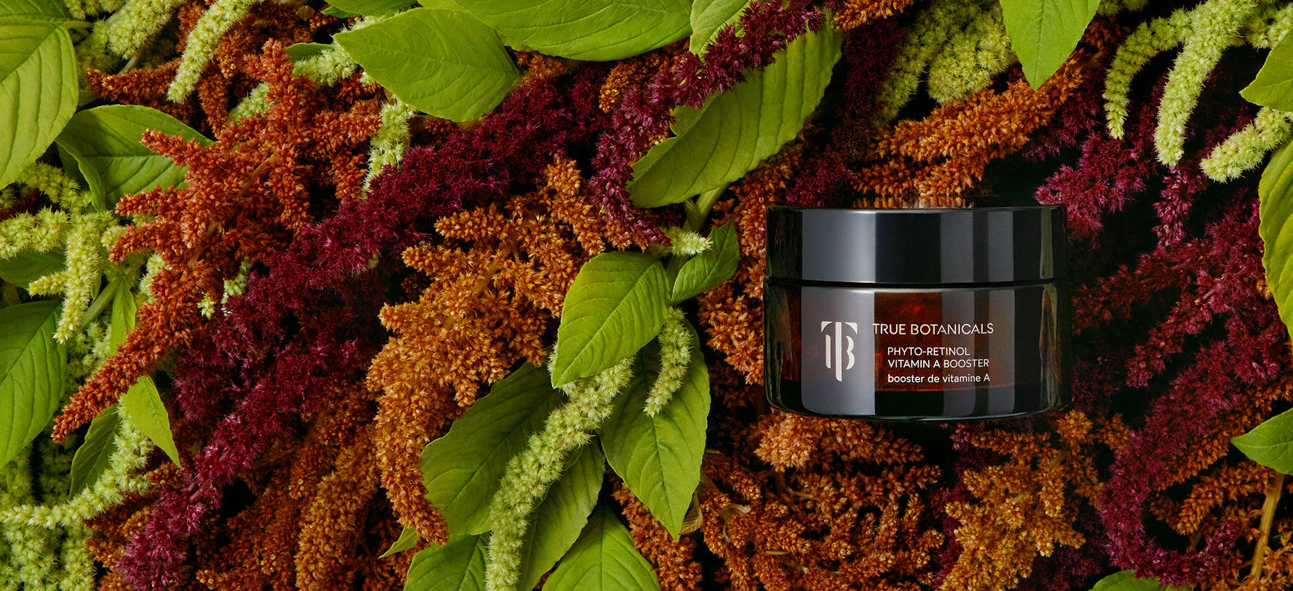Phyto-Retinol Vitamin A Booster