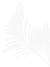 True Botanicals
