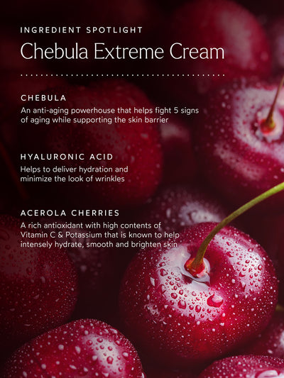 Chebula Extreme Skin Barrier Cream | True Botanicals