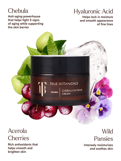 An amber glass jar of True Botanicals Chebula Extreme Cream with a black lid is displayed at the center, surrounded by key ingredients. Green chebula fruit and leaves highlight its anti-aging properties for supporting the skin barrier. Transparent gel droplets represent hyaluronic acid for locking in moisture and smoothing fine lines. Acerola cherries emphasize antioxidant-rich benefits for brightening skin, while purple wild pansies symbolize intense moisture and soothing effects. 