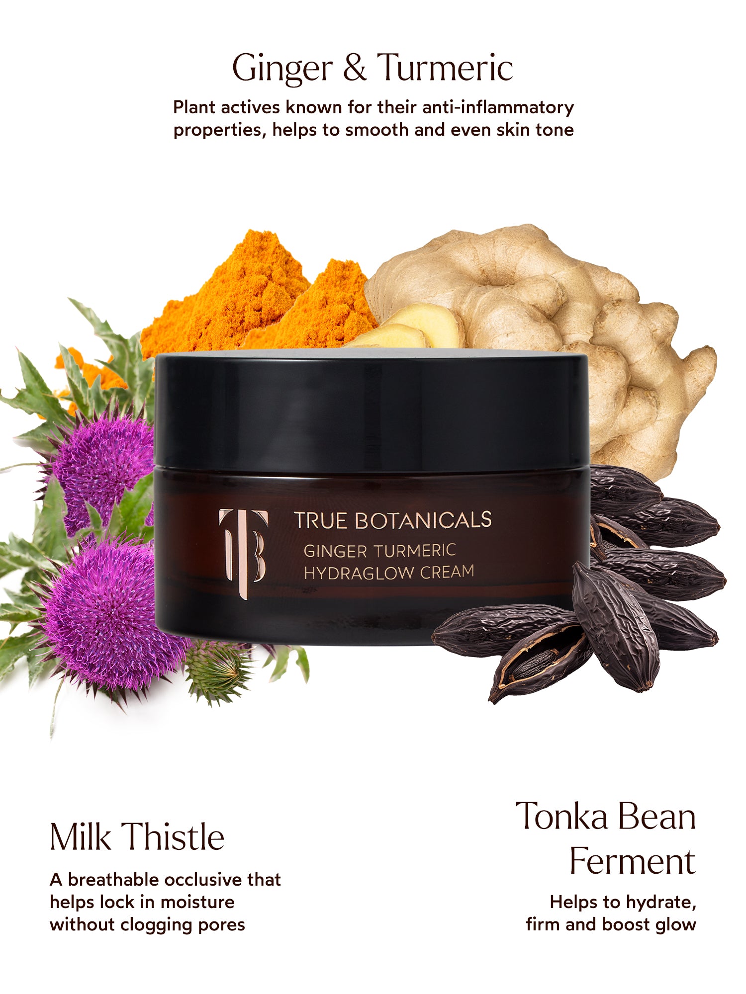 Ginger Turmeric HydraGlow Cream - True Botanicals