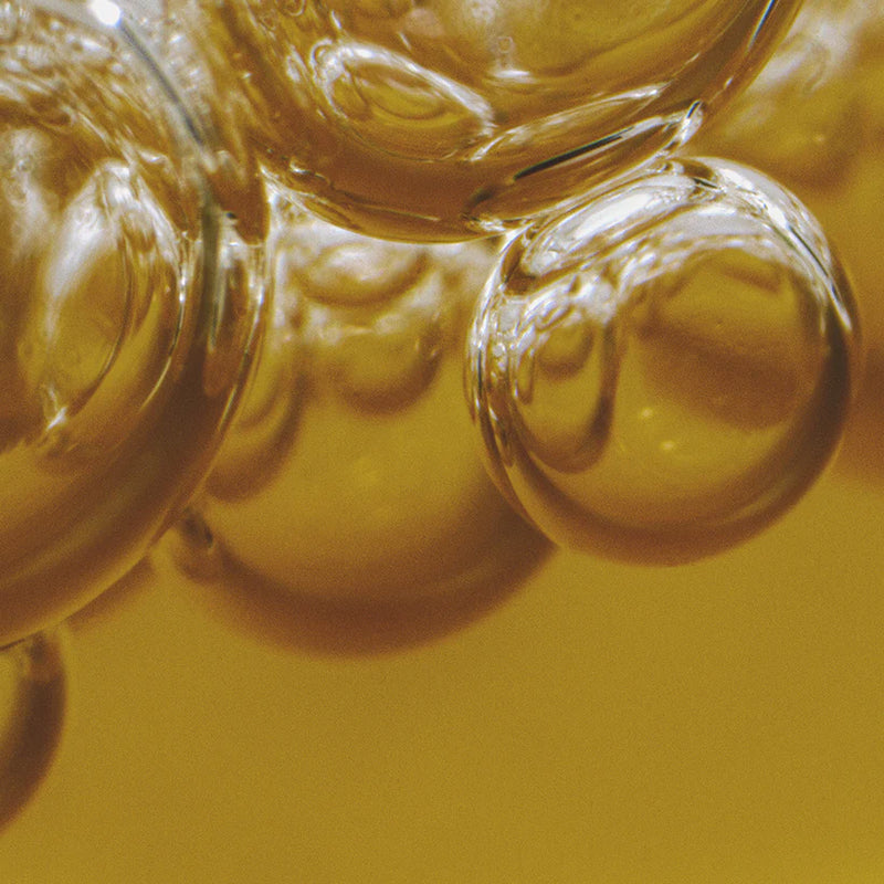 Kombucha Ingredient