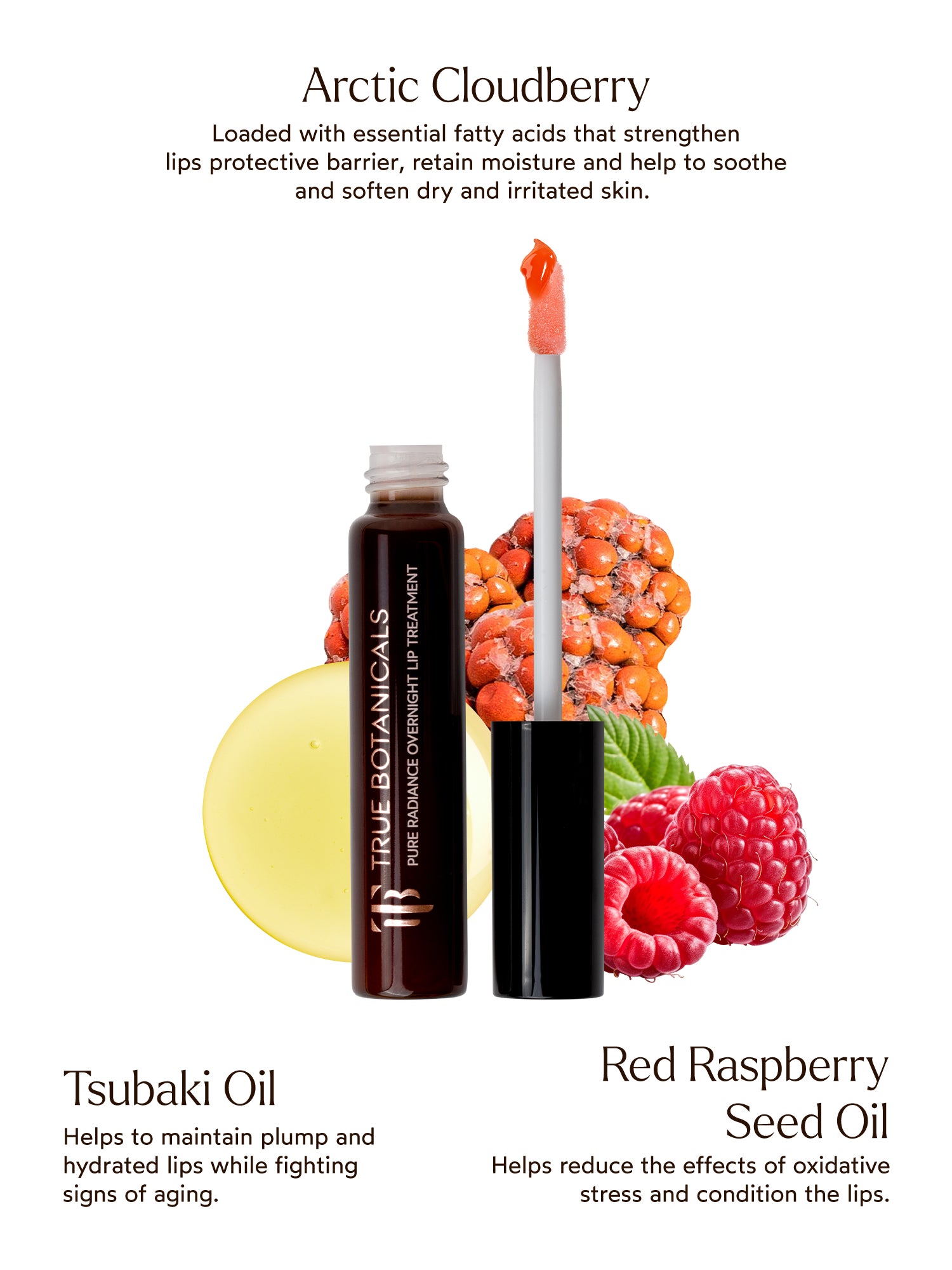 Pure Radiance Overnight Lip Treatment - True Botanicals