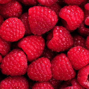 Pure Radiance Overnight Lip Treatment - True Botanicals