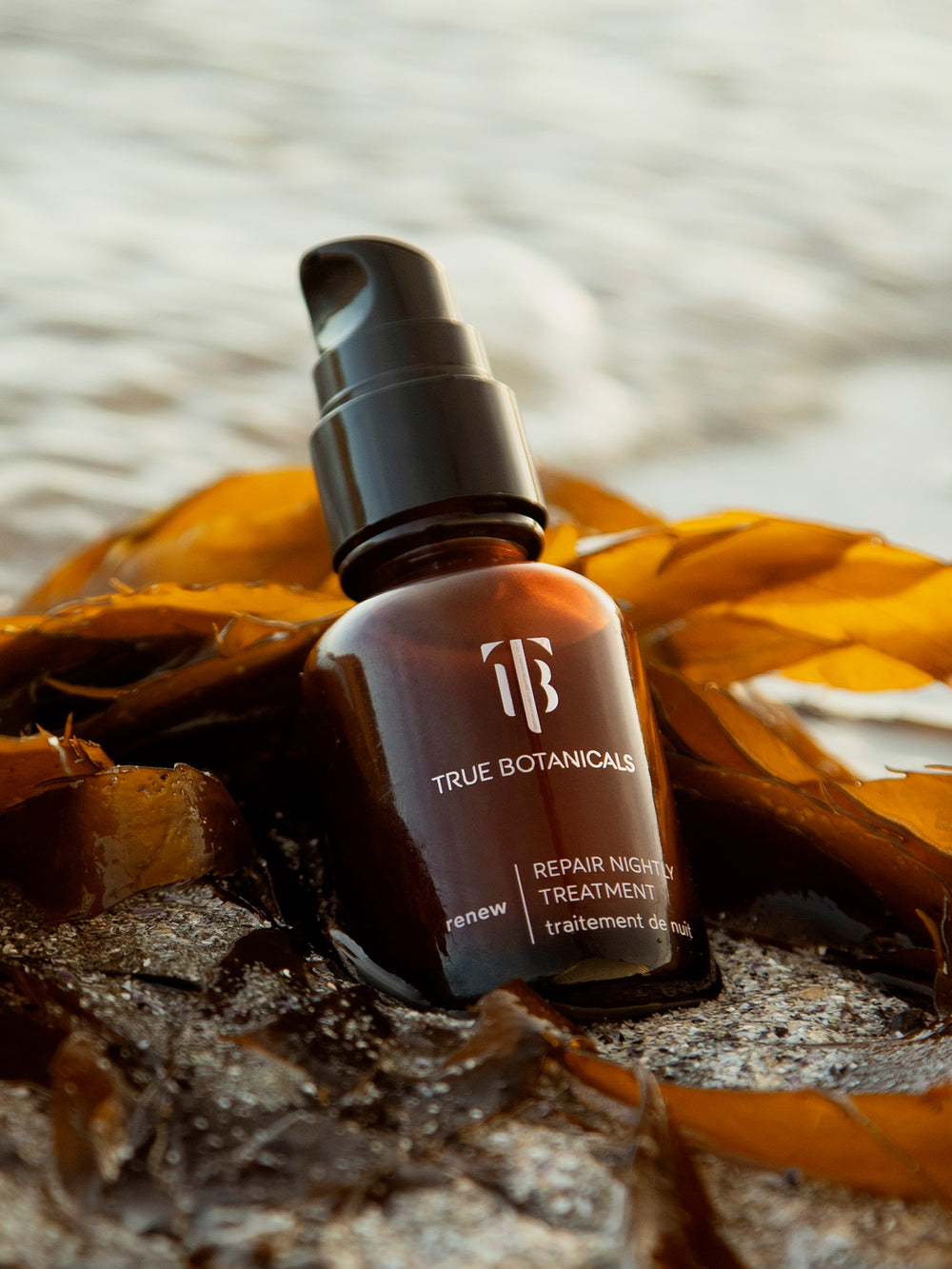 Renew Repair Nightly Treatment product bottle laying on the sand by the beach with orange brown algae behind it.