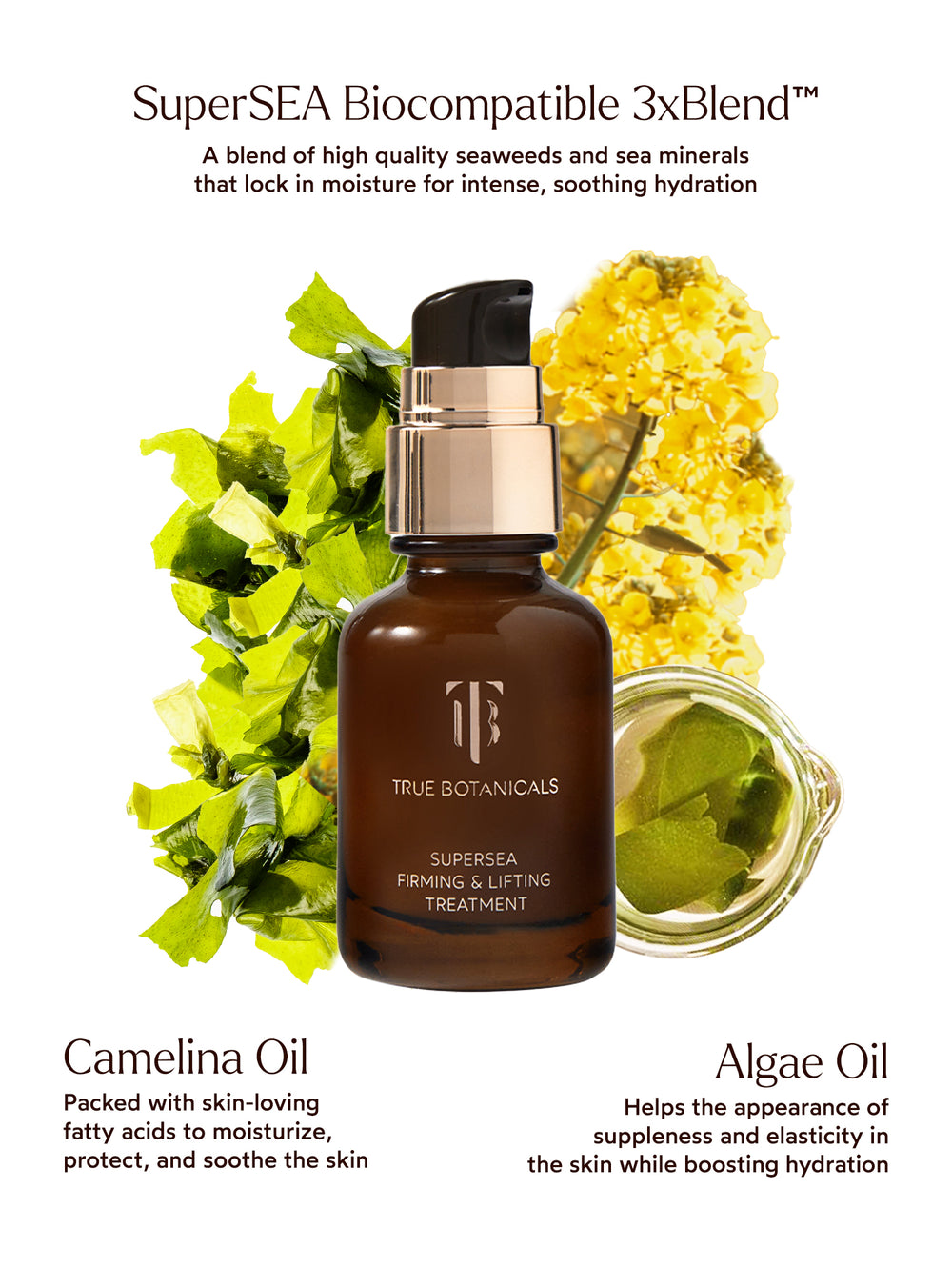 An amber glass bottle of True Botanicals SuperSEA Firming & Lifting Treatment with a gold and black pump dispenser is displayed at the center, surrounded by botanical ingredients. Green seaweed and yellow flowers emphasize the SuperSEA Biocompatible 3xBlend™, described as a mix of seaweeds and minerals for intense, soothing hydration. Text highlights camelina oil for moisturizing, protecting, and soothing the skin with fatty acids, and algae oil for improving suppleness, elasticity, and hydration.