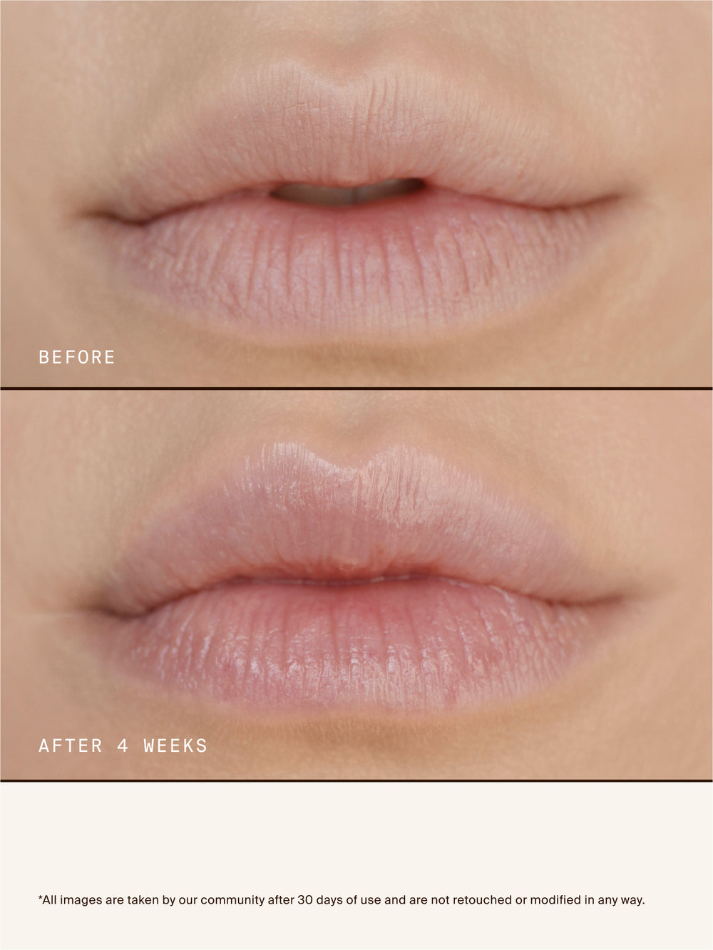 Lipid Lip Hydrating Glossy Oil