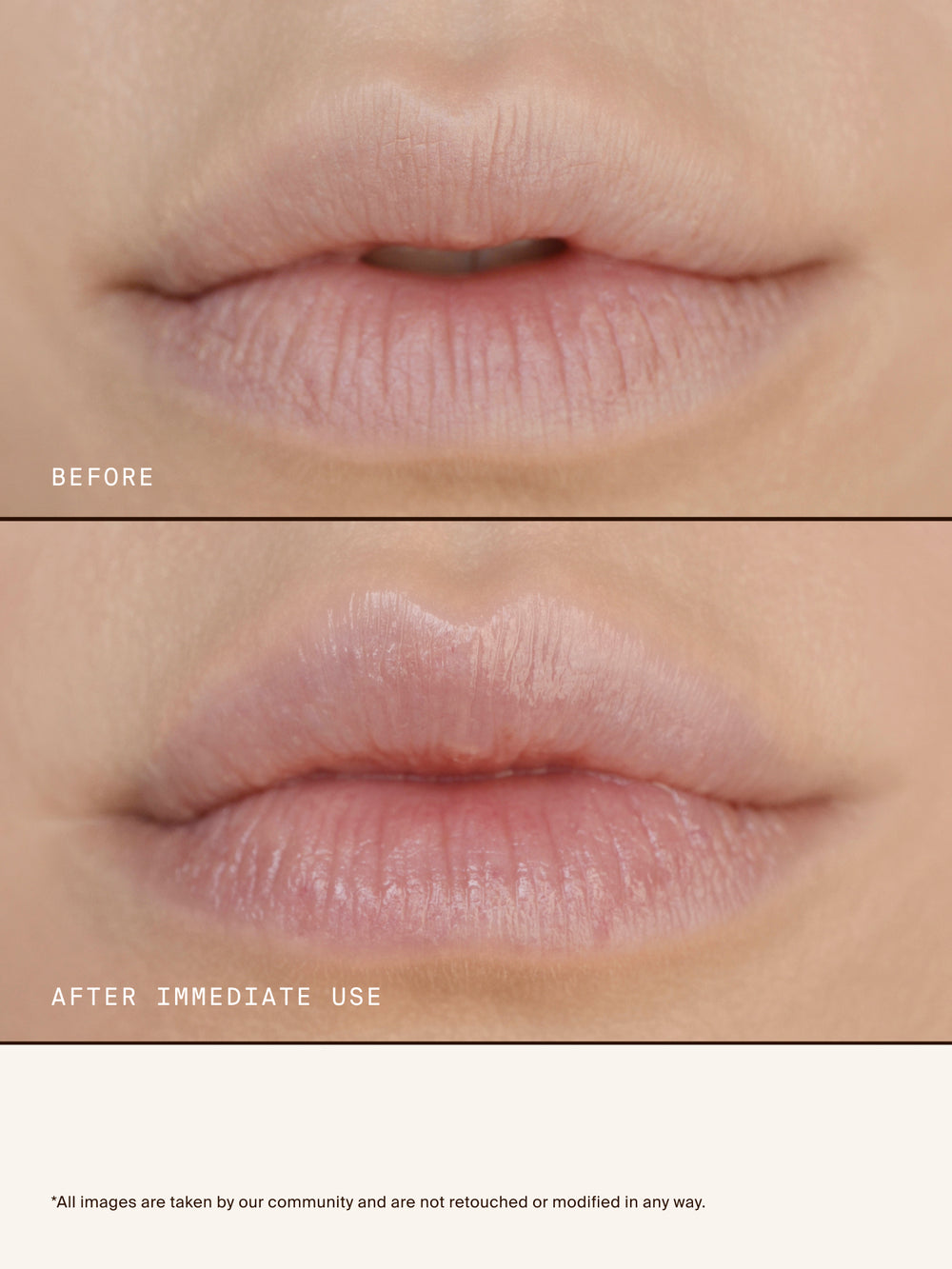 Lipid Lip Hydrating Glossy Oil