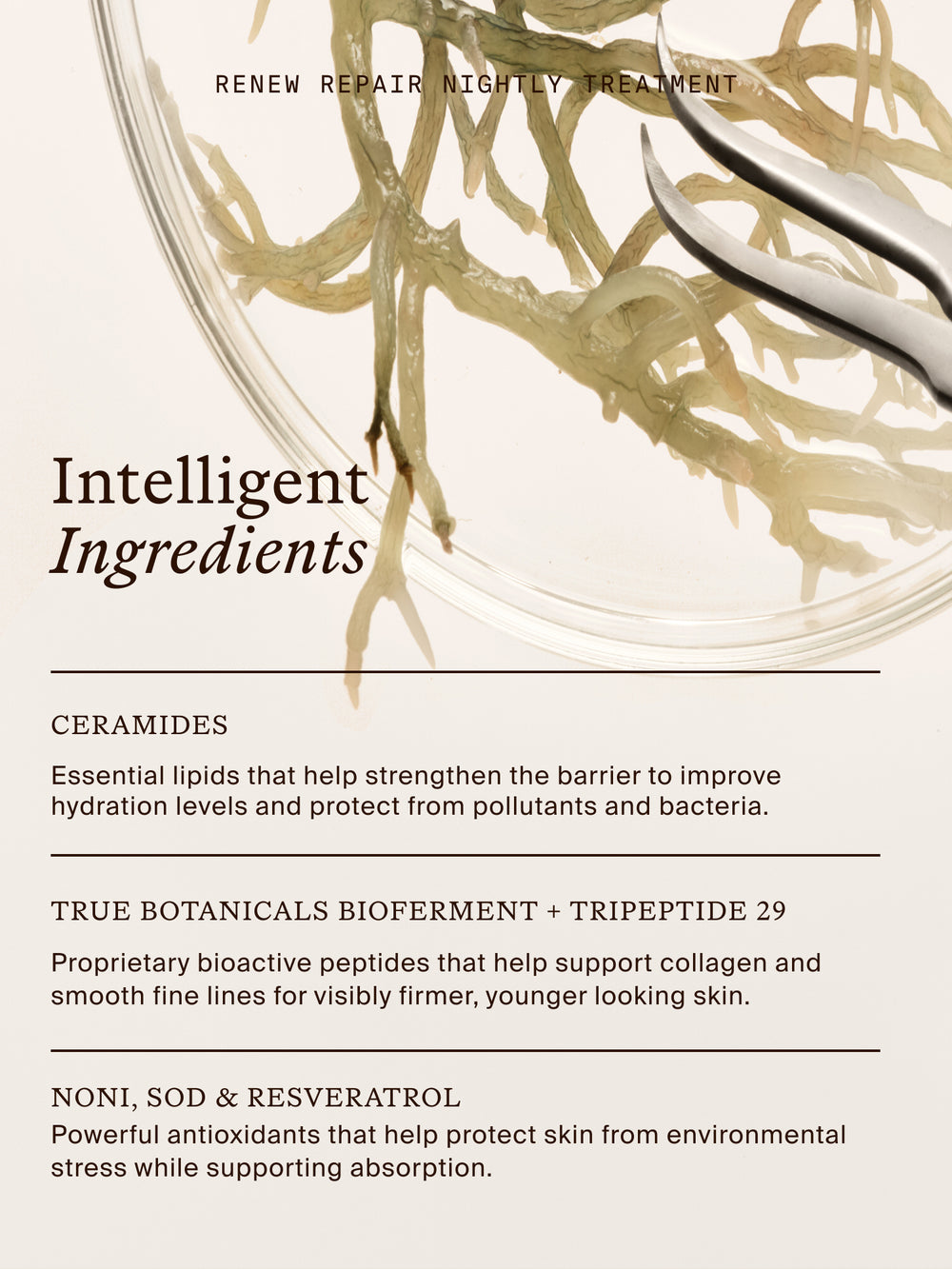 Renew Repair Nightly Treatment