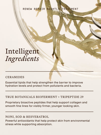 Renew Repair Nightly Treatment