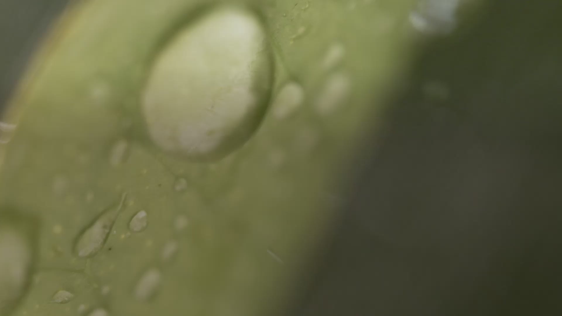 Load video: As our promise for lasting impact for generations to come, we’re proud to commit 1% of our annual sales to protecting the health and safety of people and our precious planet through our partnership with 1% for the Planet.